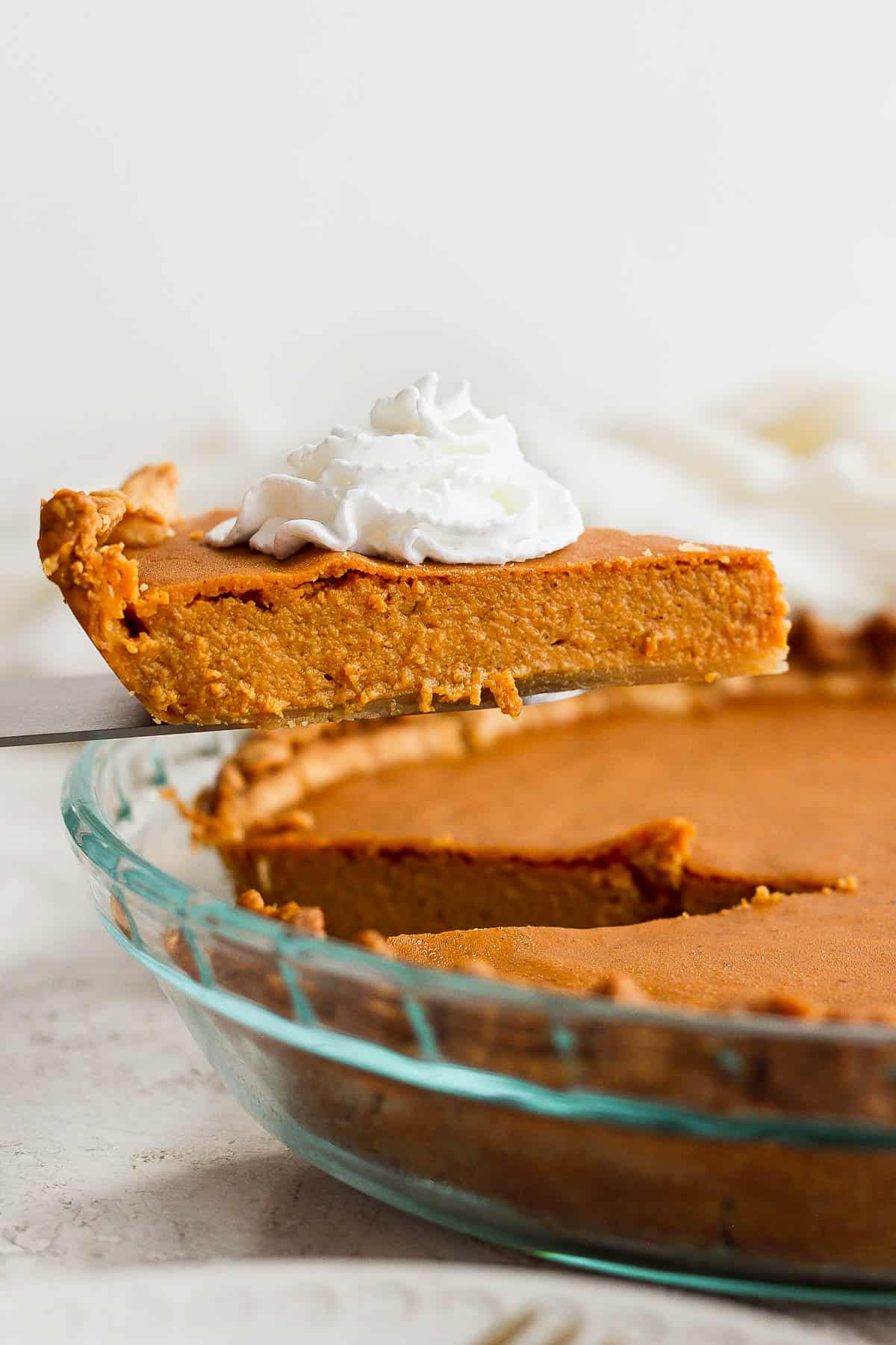 A pumpkin pie slice with a dollop of whip cream being lifted out of the pie pan with a serving utensil.