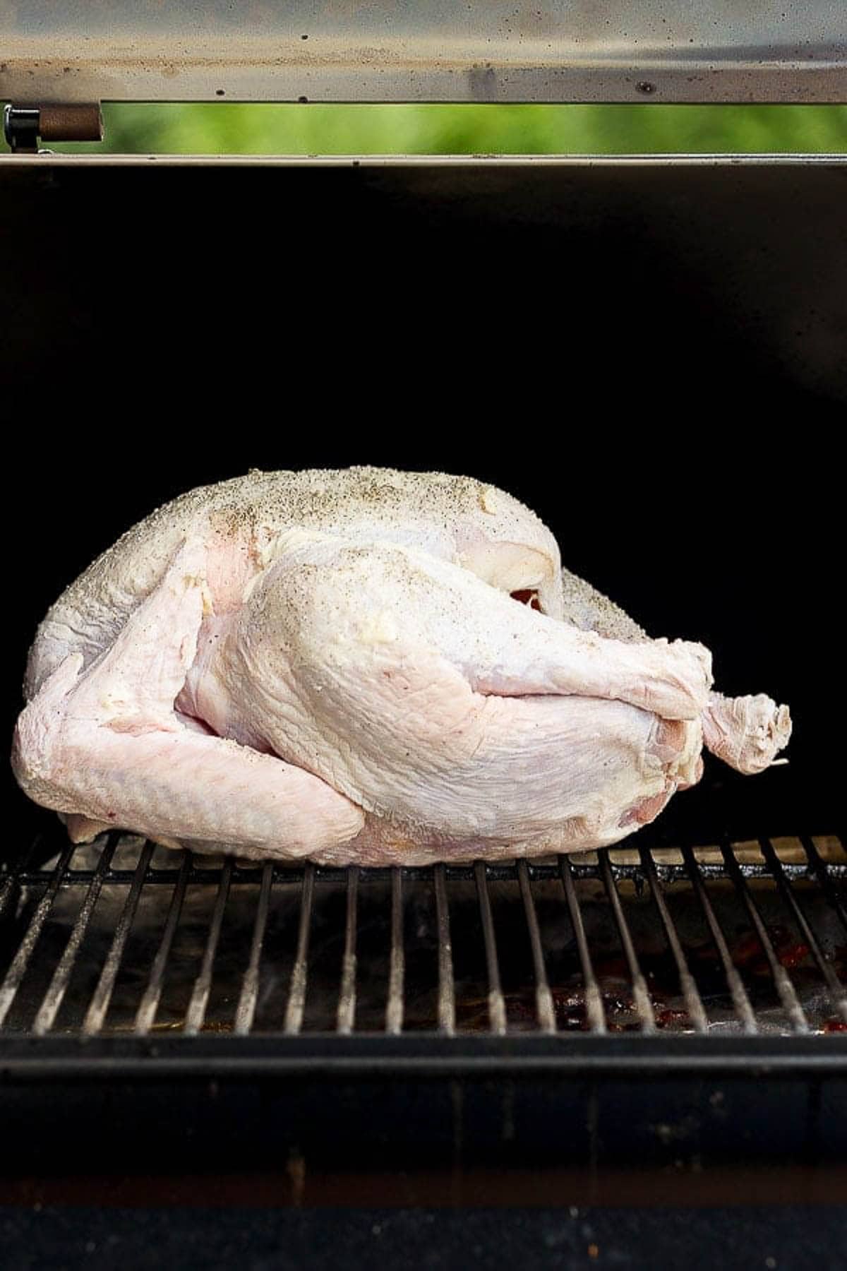 A whole turkey sitting on a Traeger smoker.