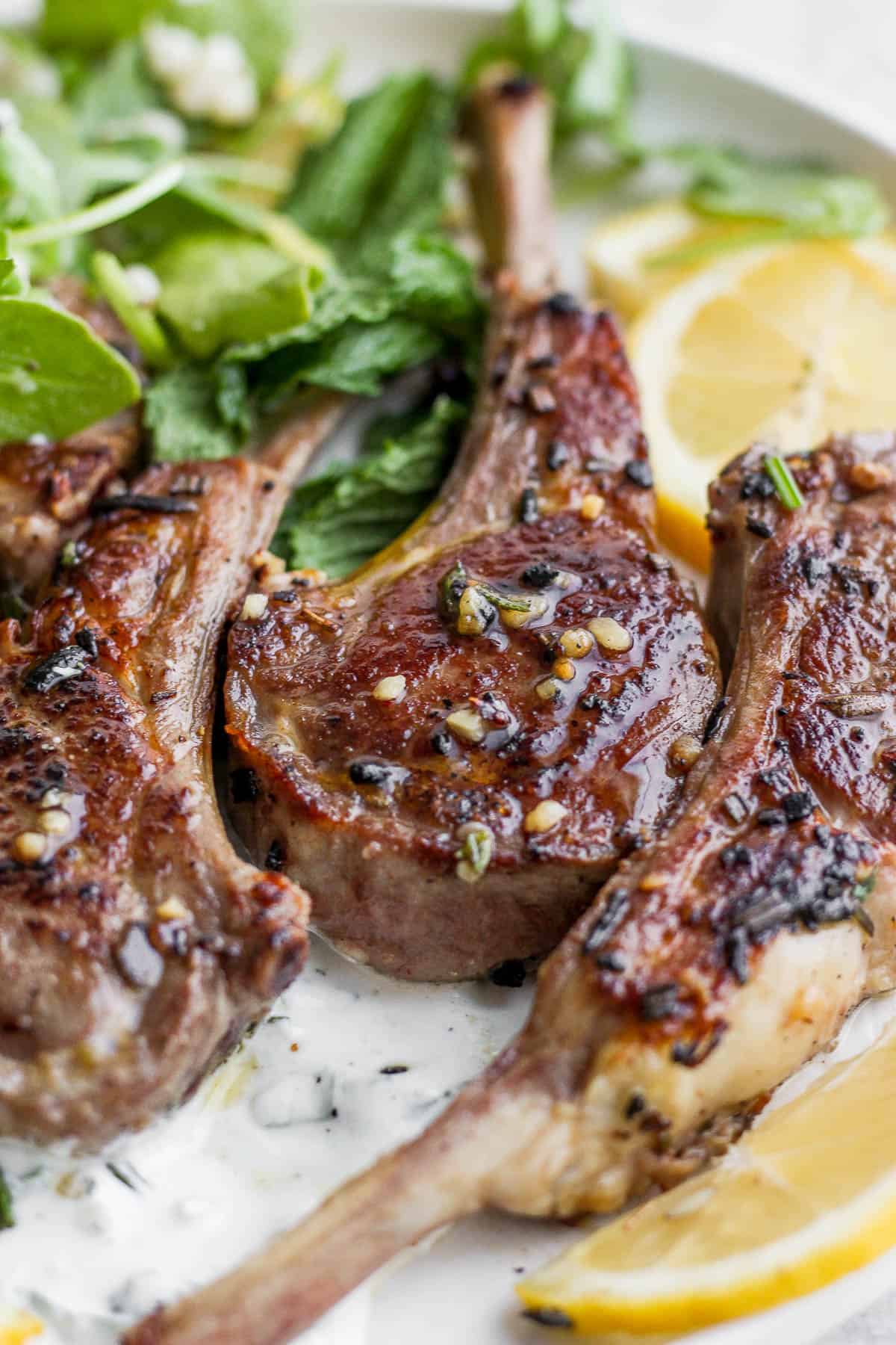 Seared lamb chops on a white plate.