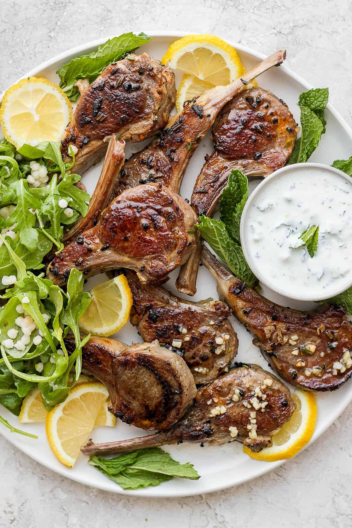 Pan-seared lamb chops on a plate with a salad, couscous, and lamb sauce.
