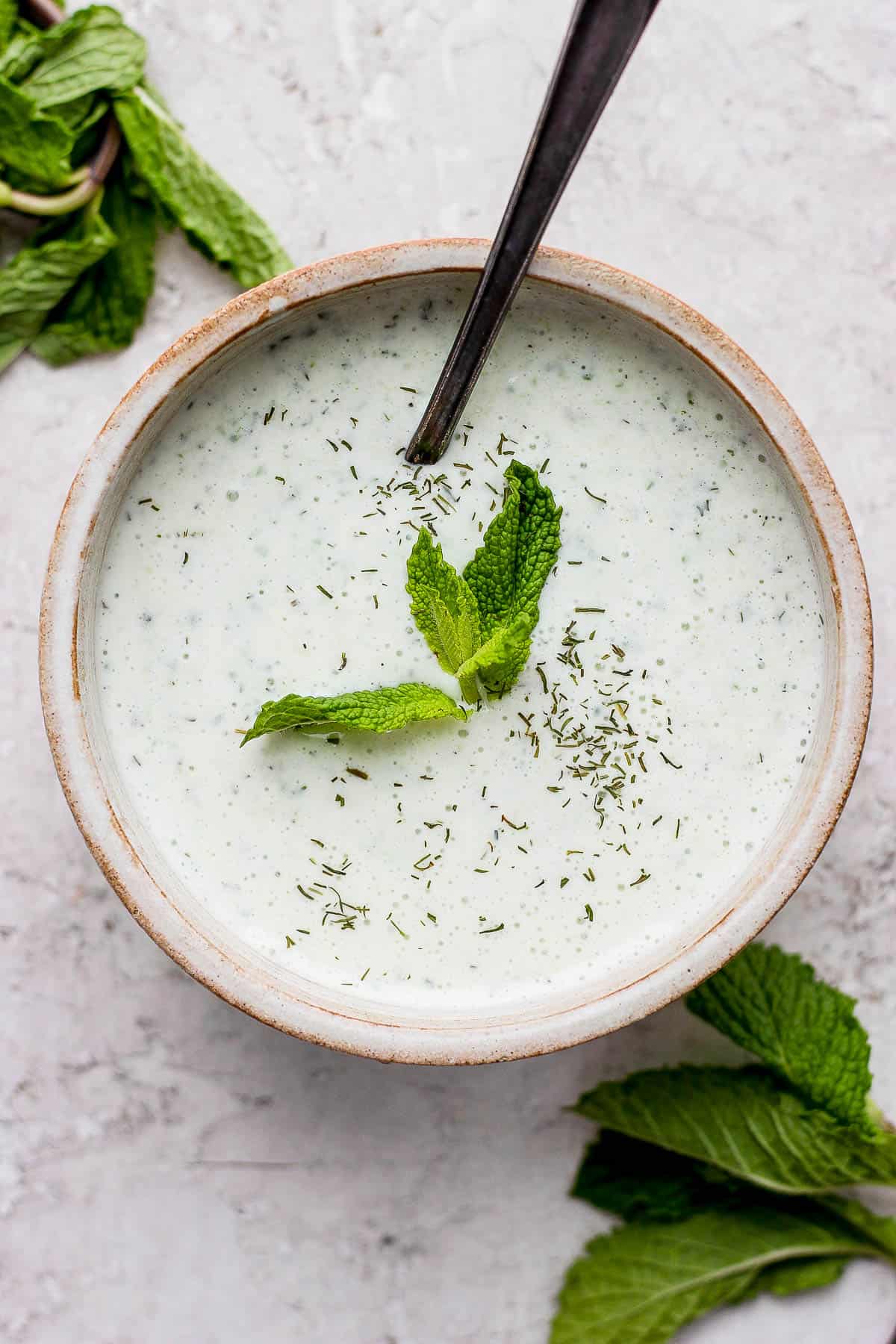 Tzatziki Sauce in a bowl garnished with fresh mint leaves and dill.  There' a spoon sticking out of the bowl.