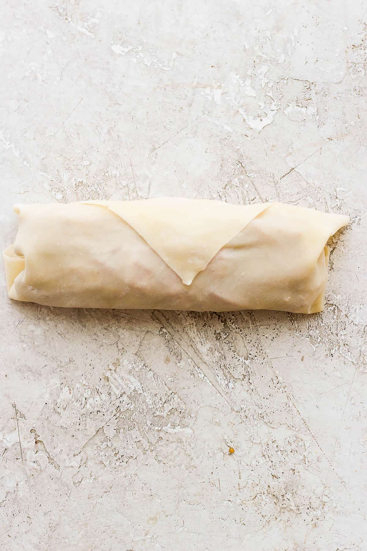 A fully wrapped egg roll.
