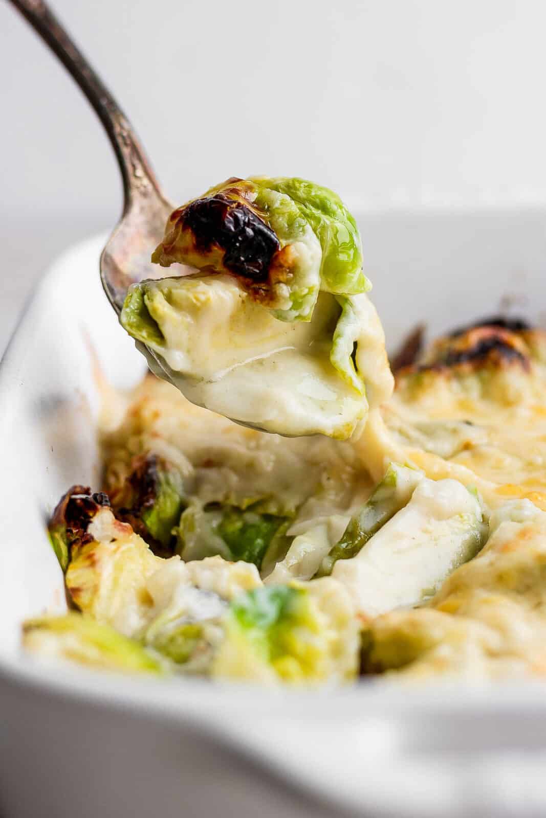 Brussels Sprouts au Gratin The Wooden Skillet
