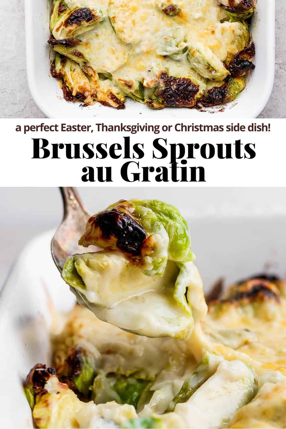Pinterest image showing the brussels sprouts au gratin and the recipe title.