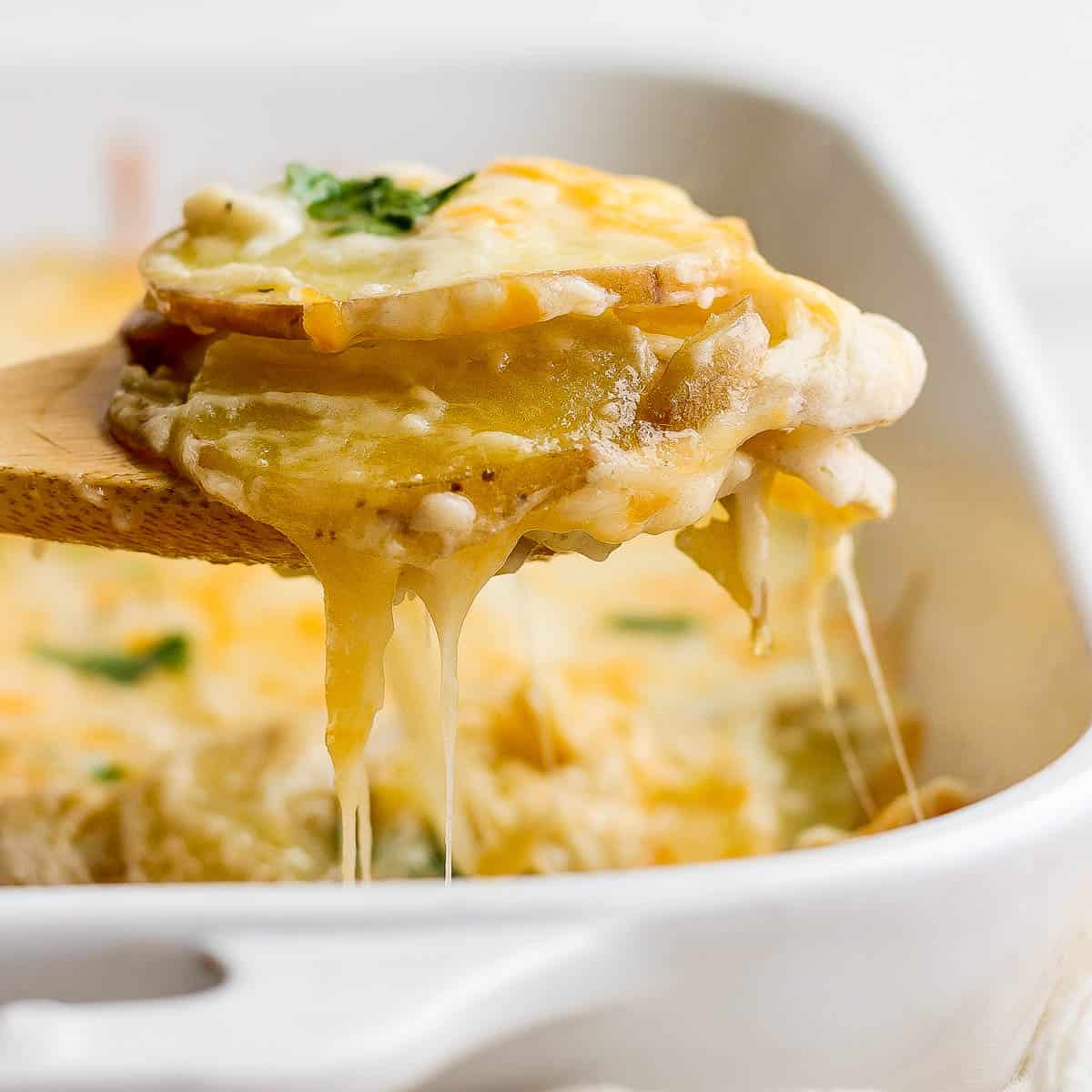 A wooden spoon lifting out a few layer of cheesy scalloped potatoes from a casserole dish.