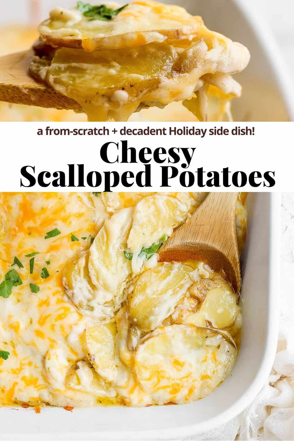 Pinterest image for cheesy scalloped potatoes.