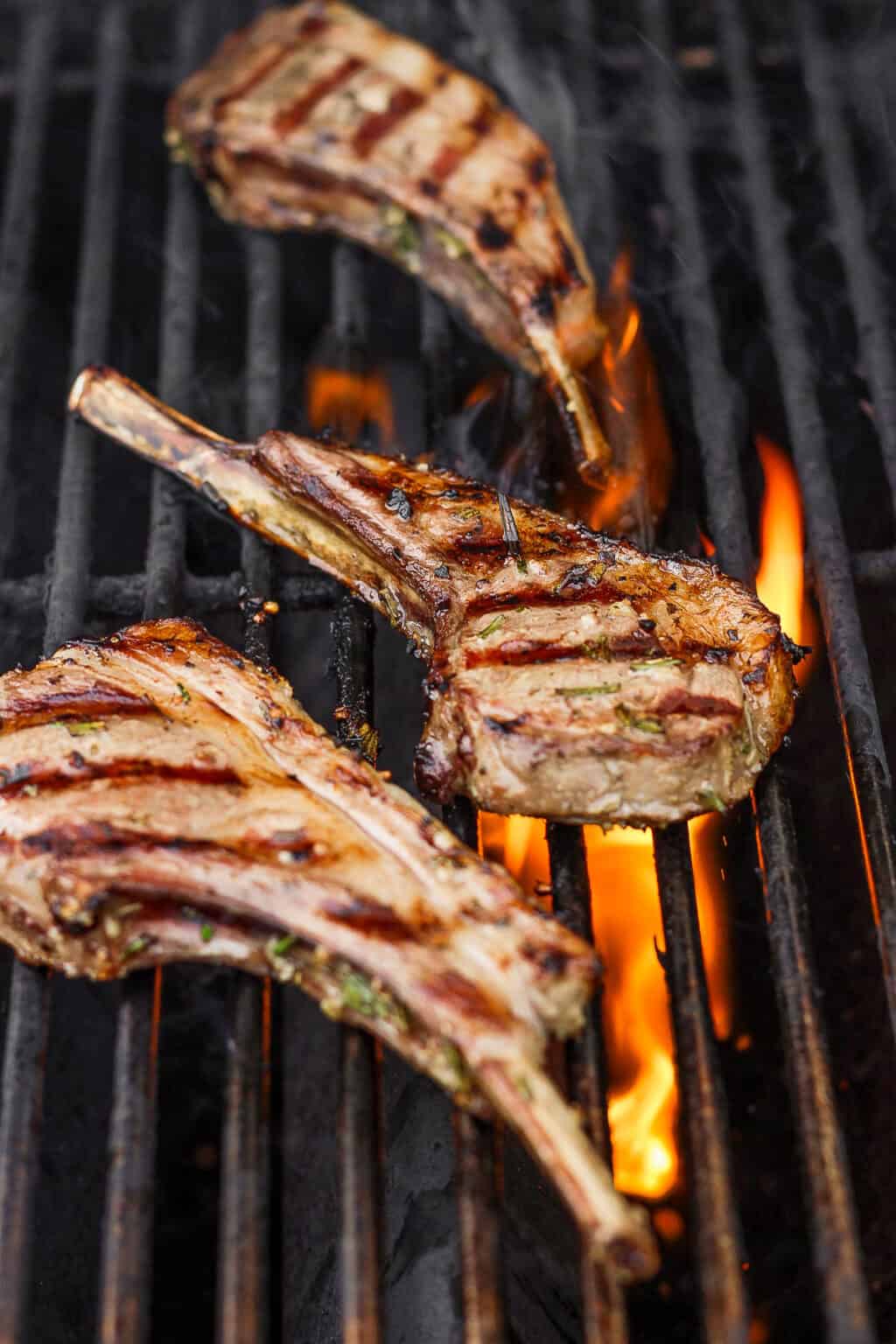 Grilled Lamb Chops The Wooden Skillet