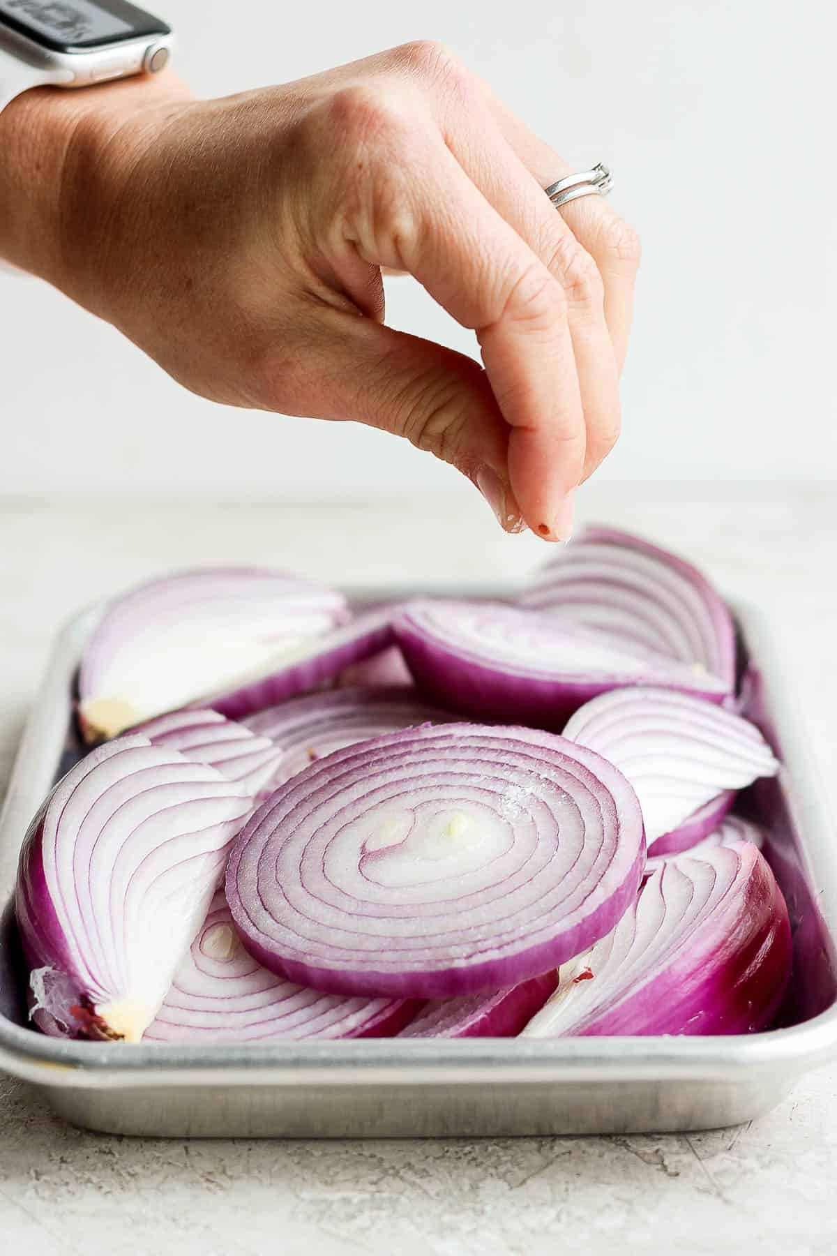 Grilled onion slices and wedges on a white plate.