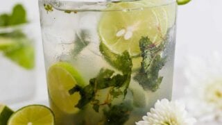 Mojito Recipe (how to make a mojito) - The Wooden Skillet