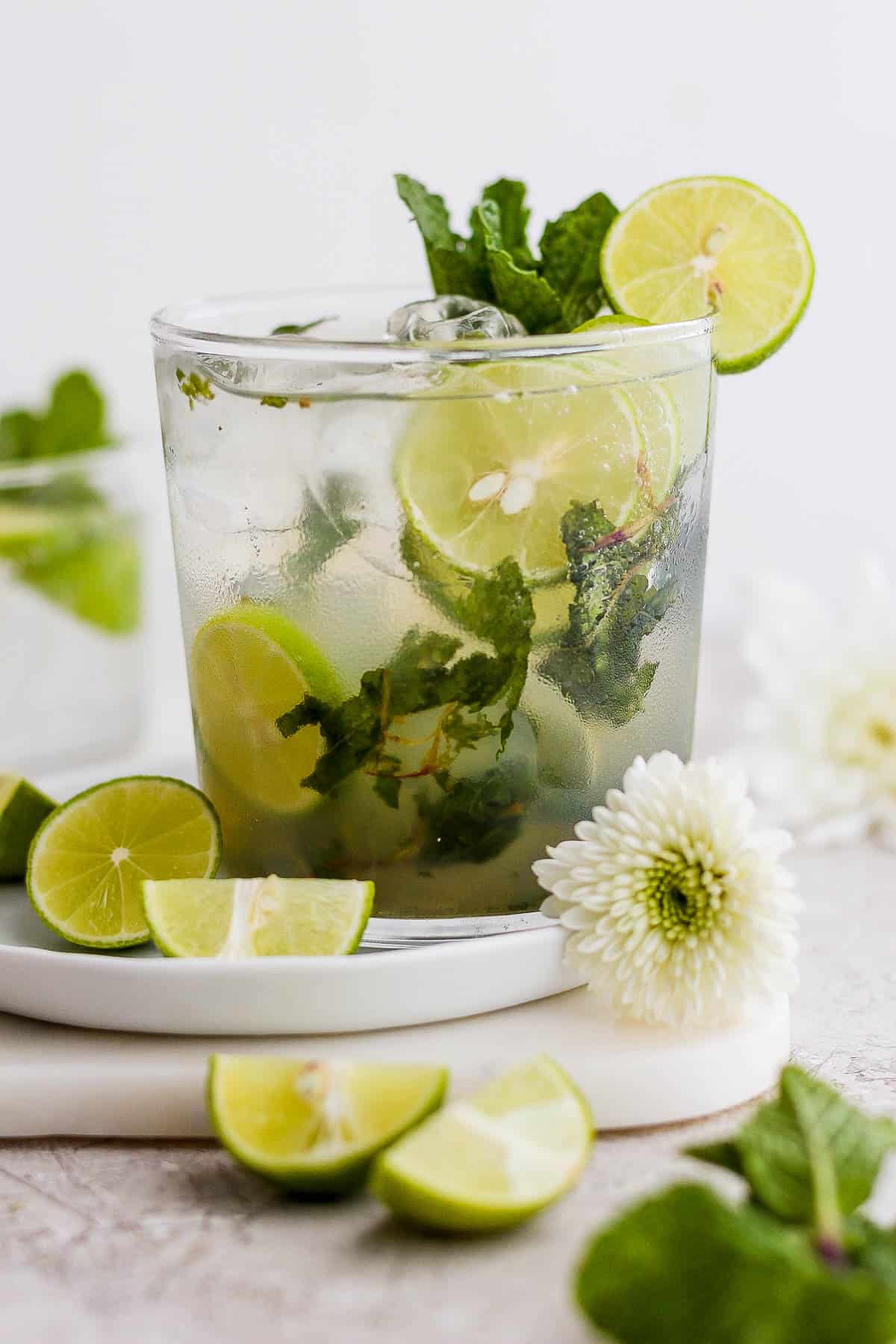 A fully garnished mojito in a clear glass.