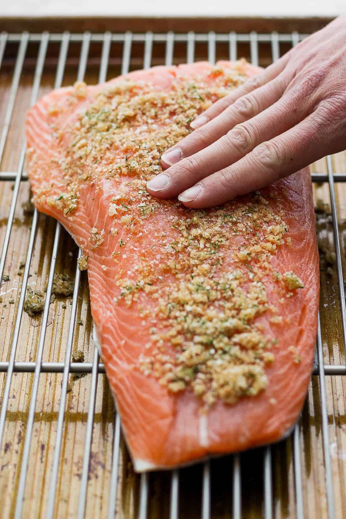 A hand rubbing the dry brine over the salmon flesh.