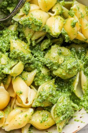 Pesto pasta in a bowl with cooked shell pasta covered in homemade pesto sauce.
