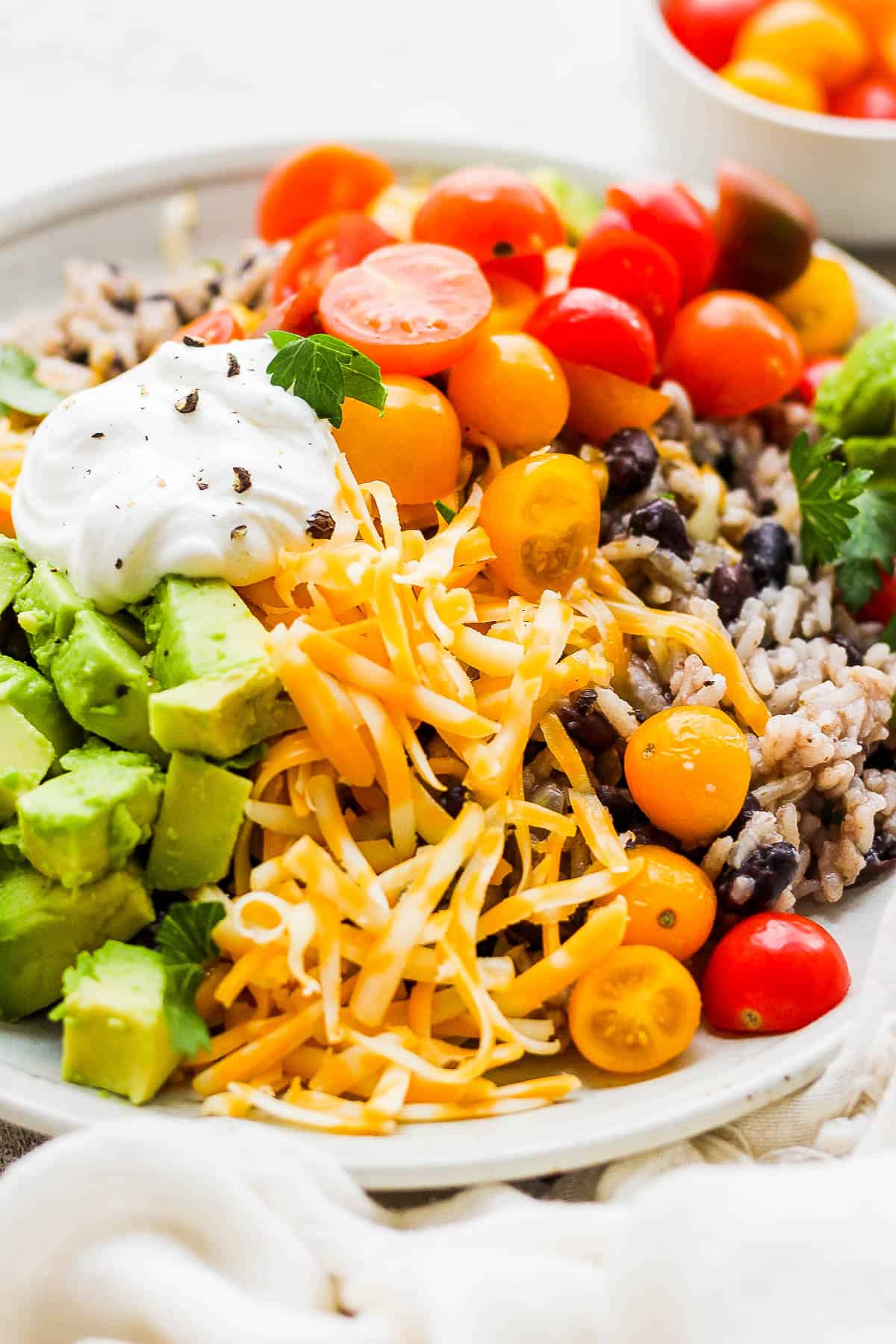 A close-up shot of the plate of rice and beans.