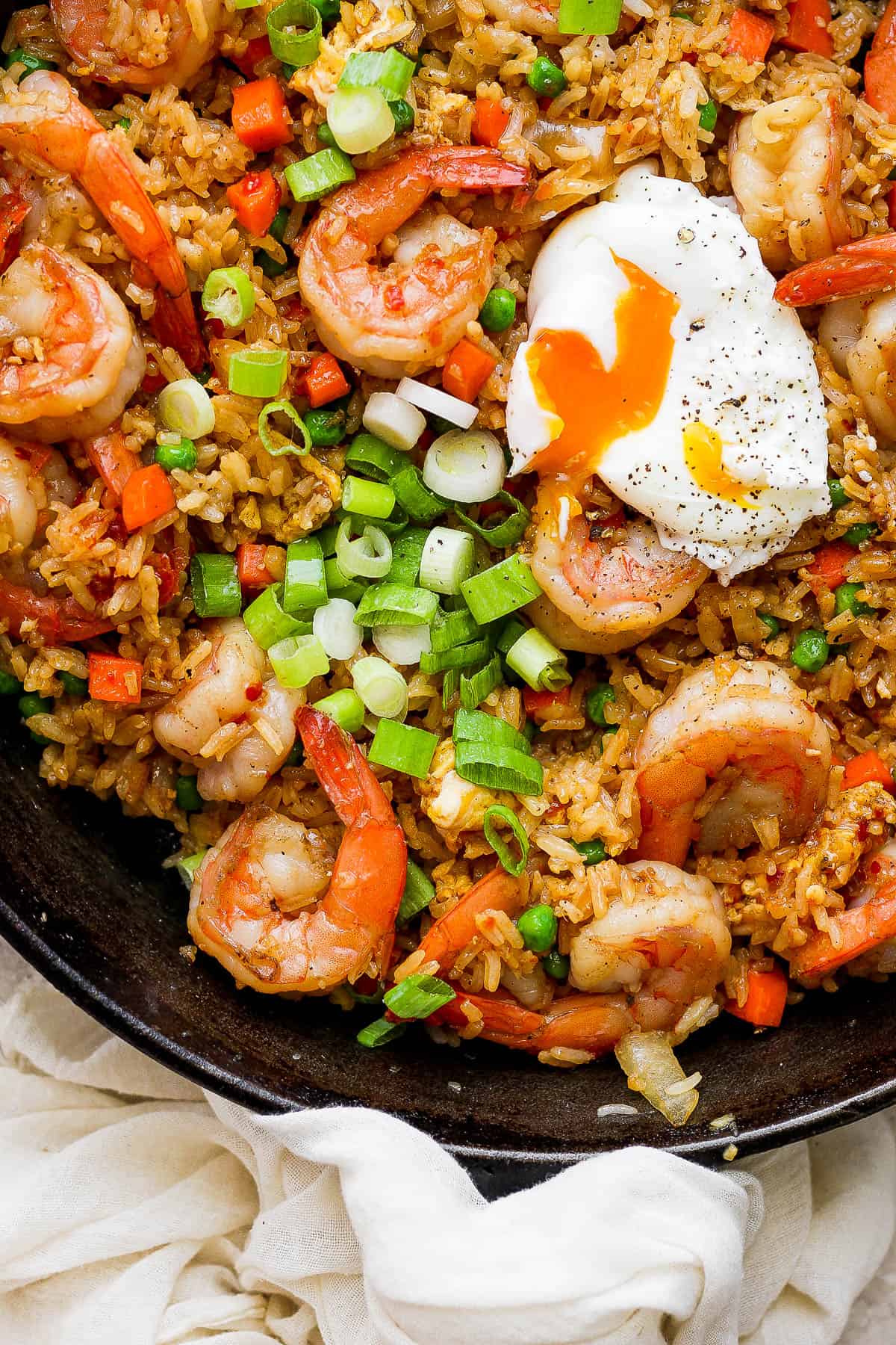 Shrimp fried rice in a bowl with freshly cut scallions on top.