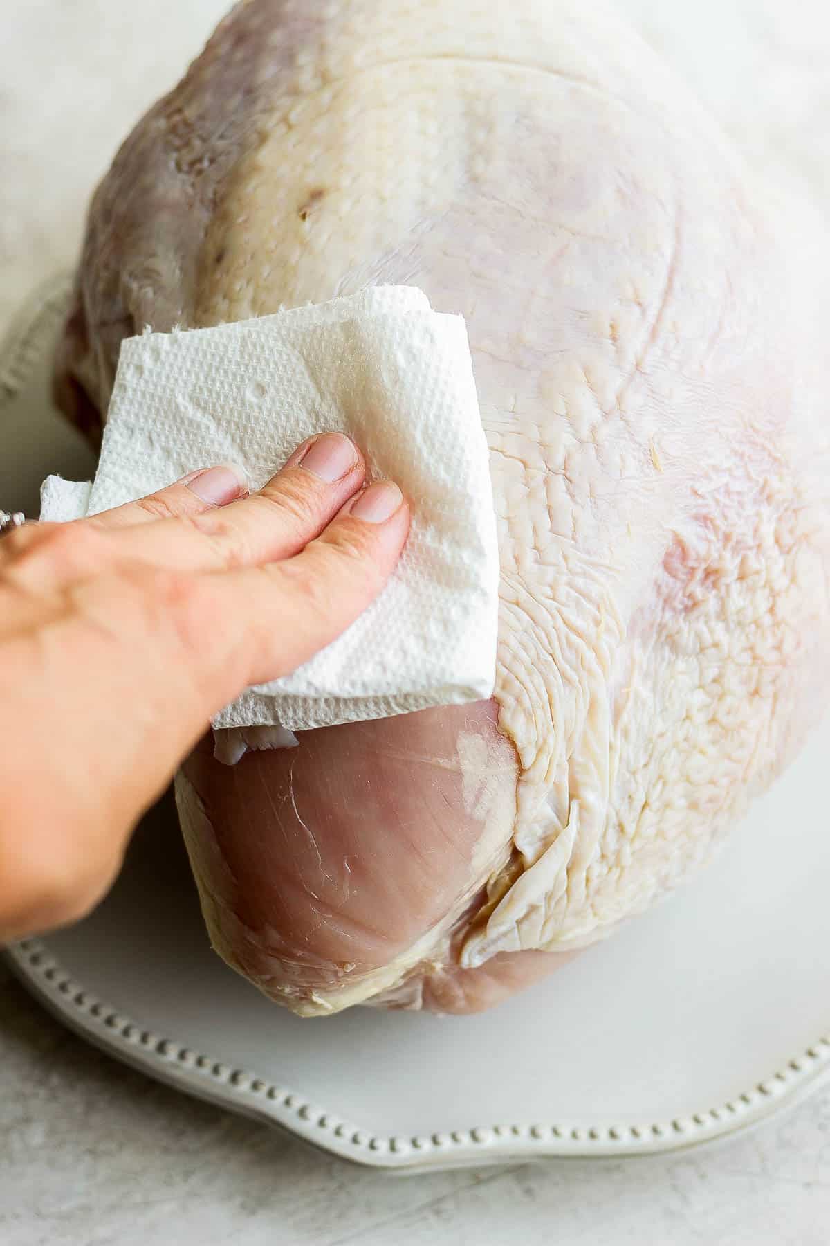 A turkey breast on a large plate being patted dry with paper towel.