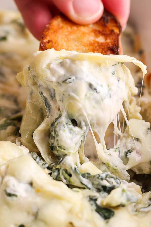 Someone using a piece of crostini to take a dip of spinach artichoke dip out of a baking dish.