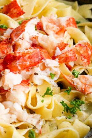 The best recipe for an easy lobster pasta.