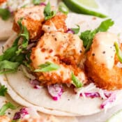 Side angle of bang bang shrimp taco with sauce on top and sliced green onions.