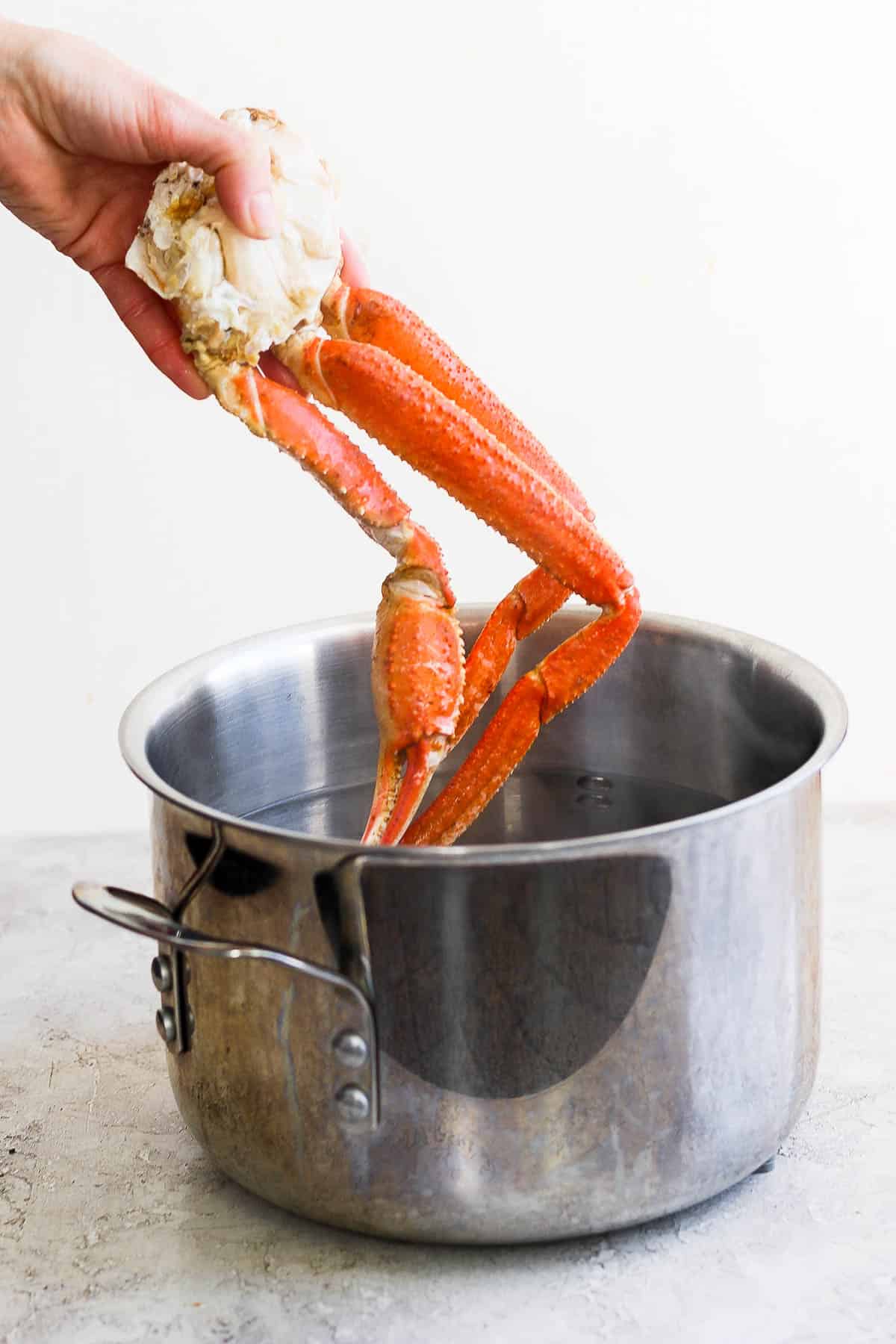 A hand placing a crab cluster in a pot of boiling water.
