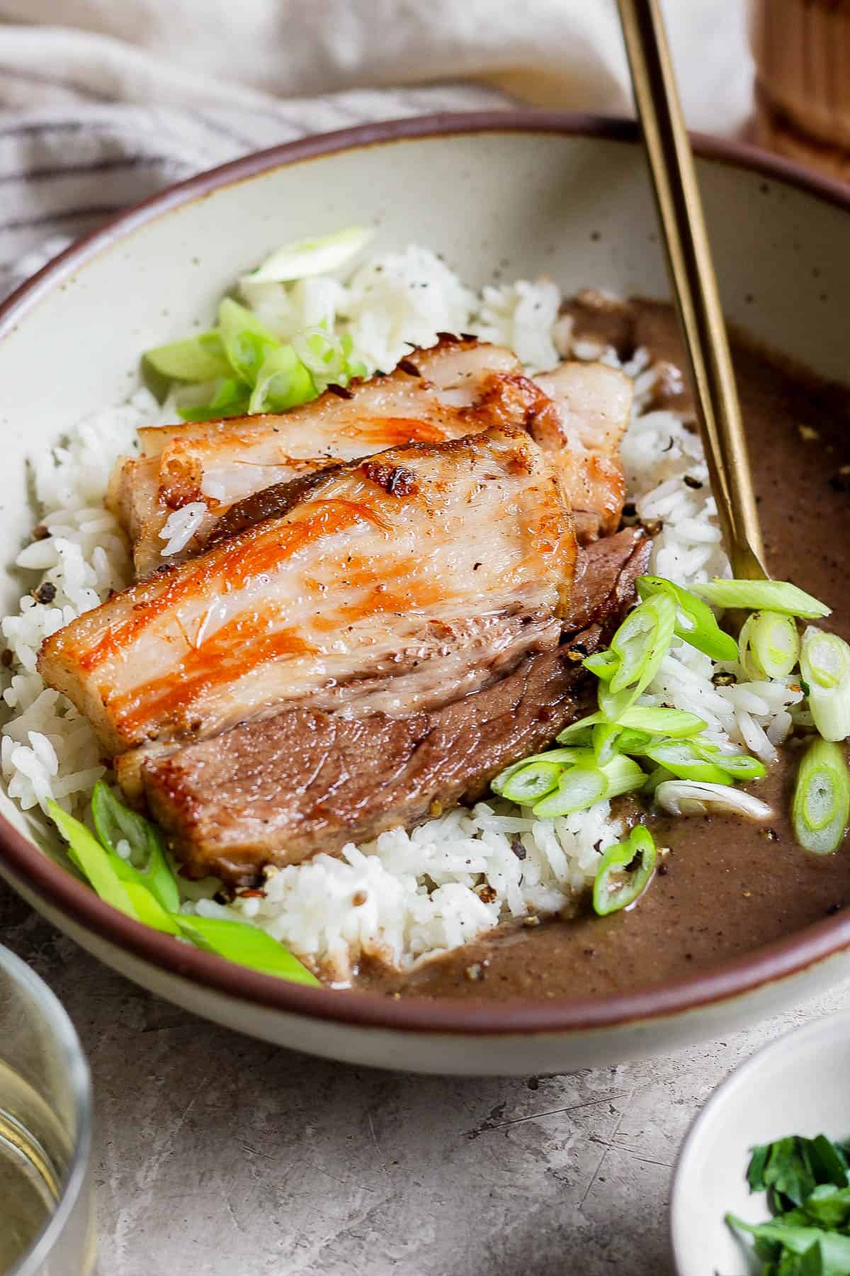 Braised pork belly and mole sauce in a rice bowl.