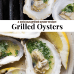 Pinterest image for grilled oysters.