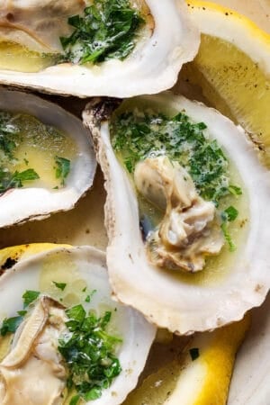 The best grilled oysters recipe.