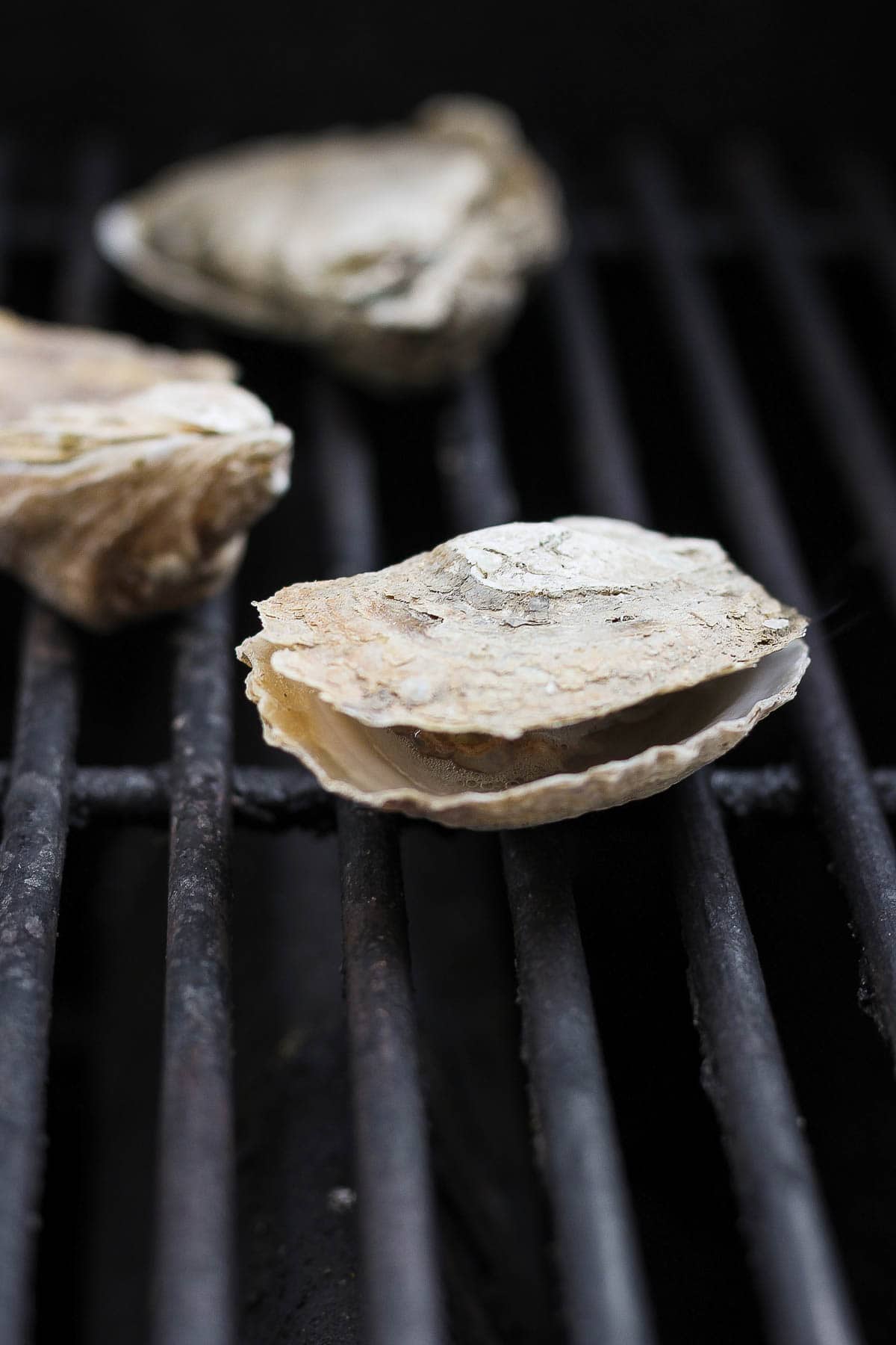 Oysters popped open on the grill.