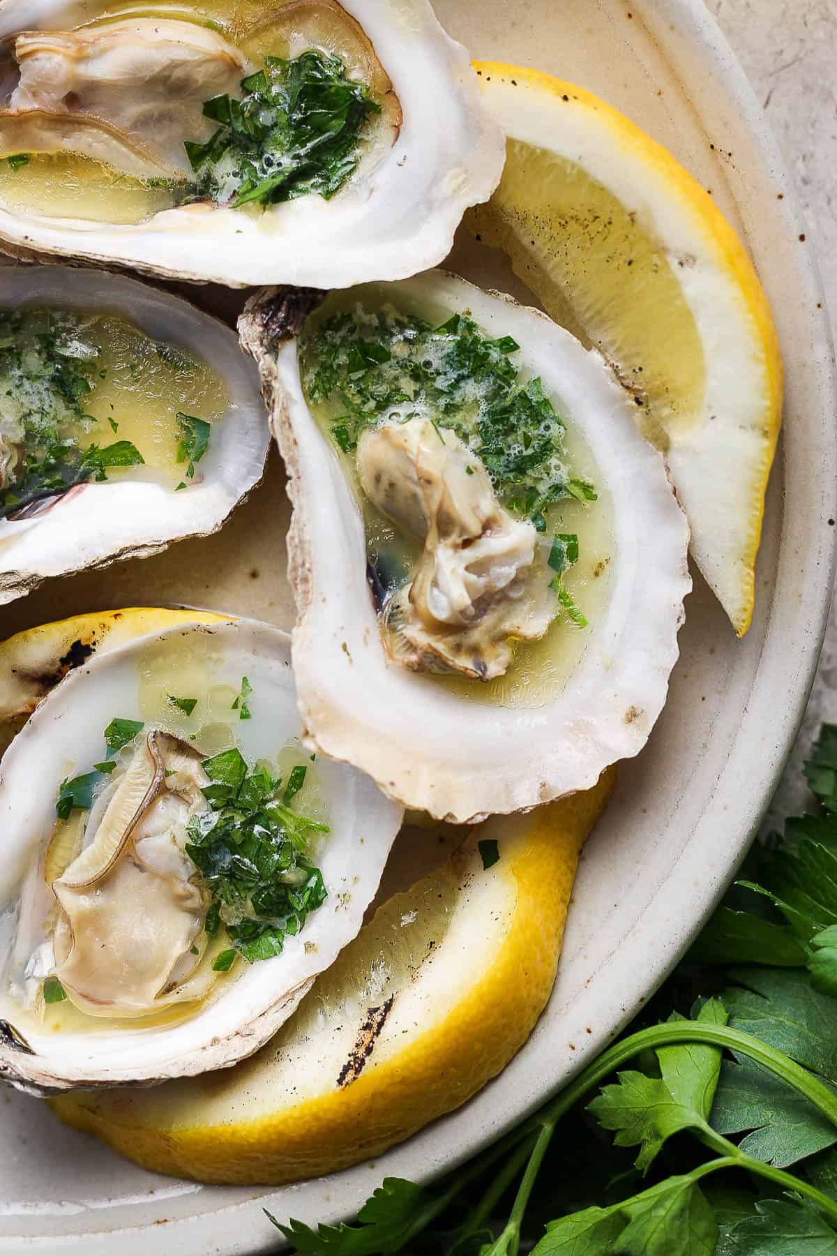 Grilled oysters on a plate with a lemon wedge.