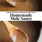 Pinterest image for mole sauce.