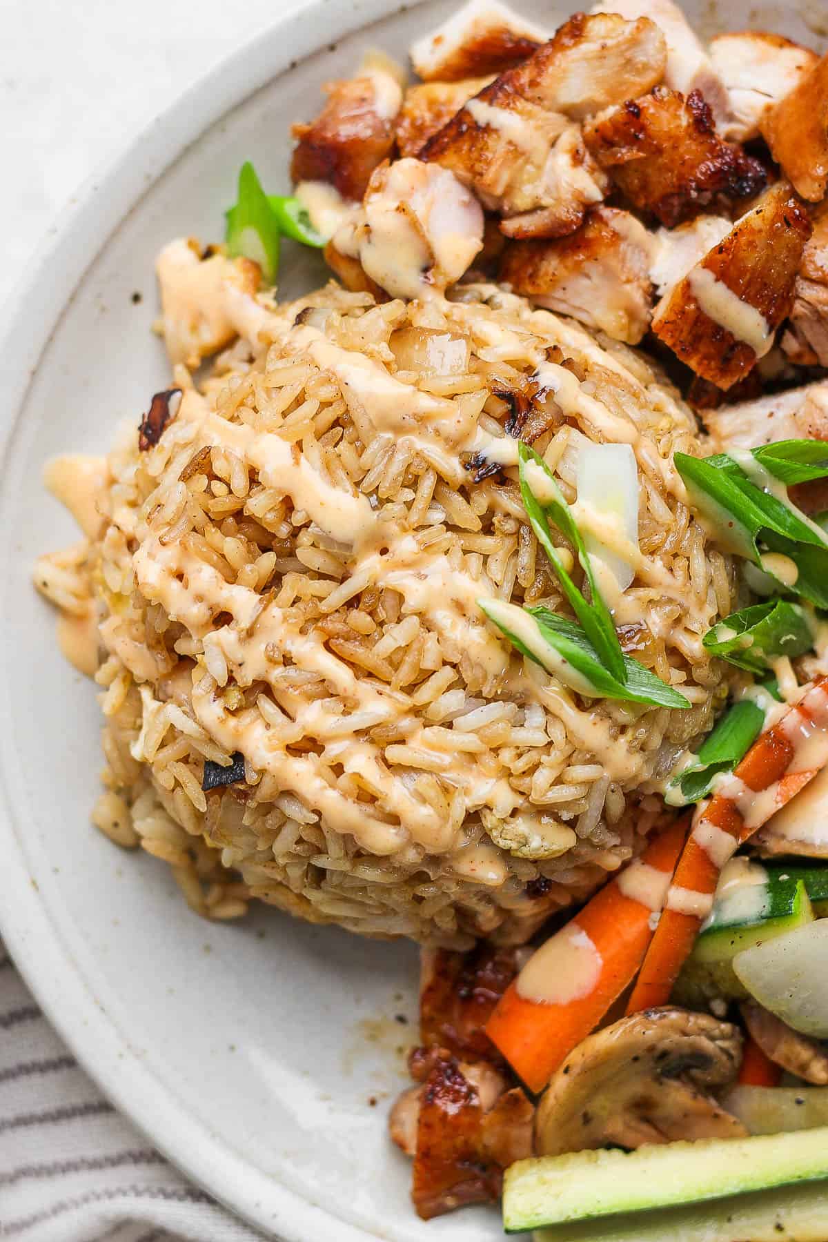 Hibachi fried rice on a plate with yum yum sauce.