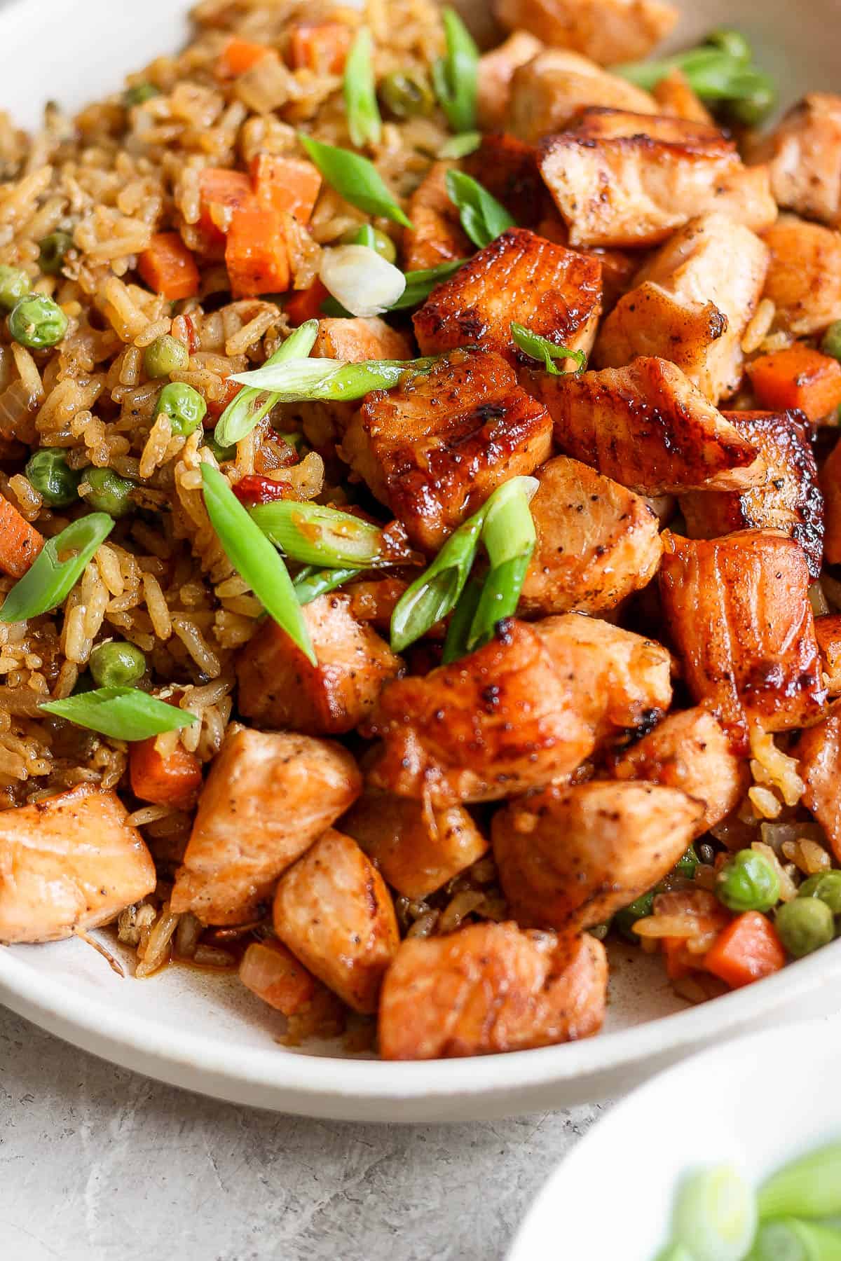 Close-up shot of green onions on top of some salmon fried rice.