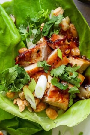 Top down shot of a grilled chicken lettuce wrap with cubed chicken, chopped cilantro, green onion and crushed peanuts.