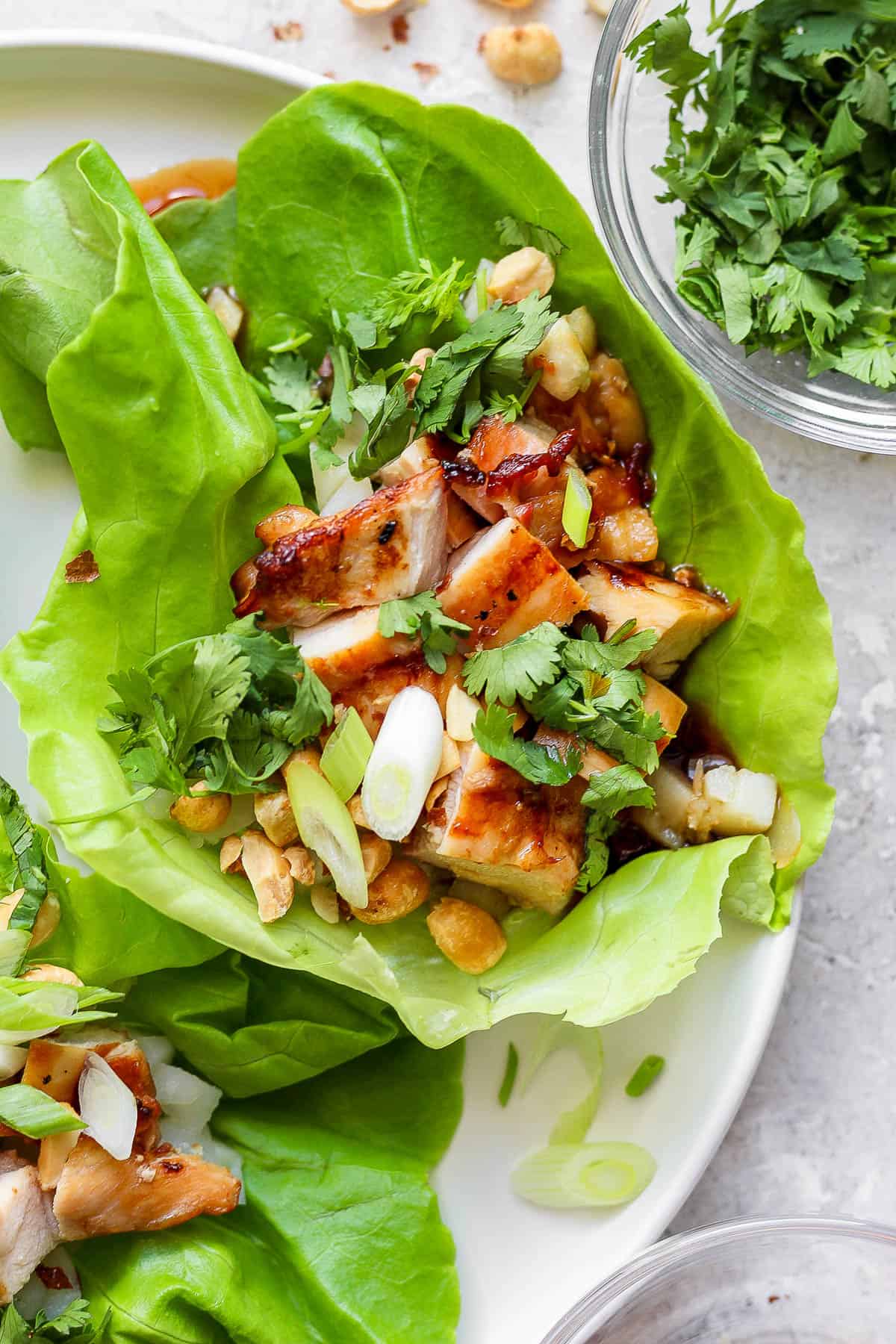 A fully assembled grilled chicken lettuce wrap on a white plate.