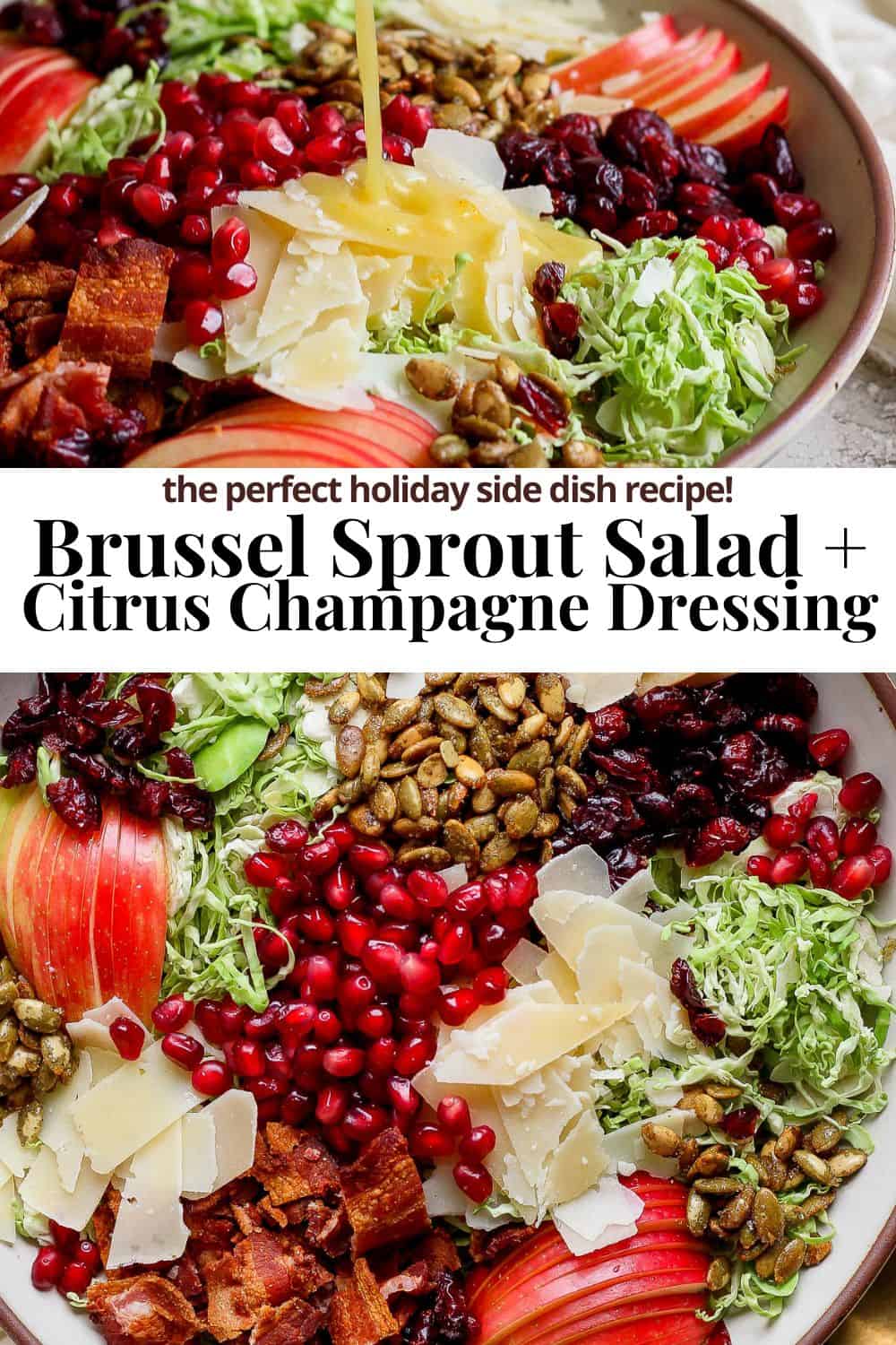 Pinterest image showing brussel sprout salad with the title Brussel Sprout Salad + Citrus Champagne Dressing The perfect holiday side dish recipe!