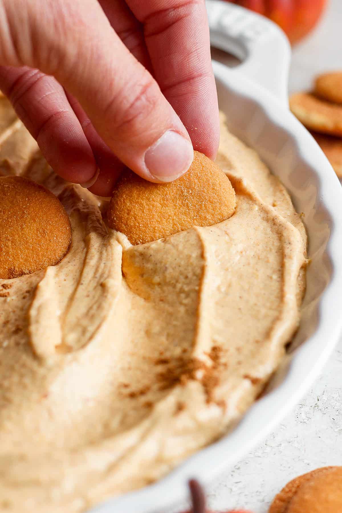 A hand dipping a vanilla wafer in a bowl of pumpkin pie dip.