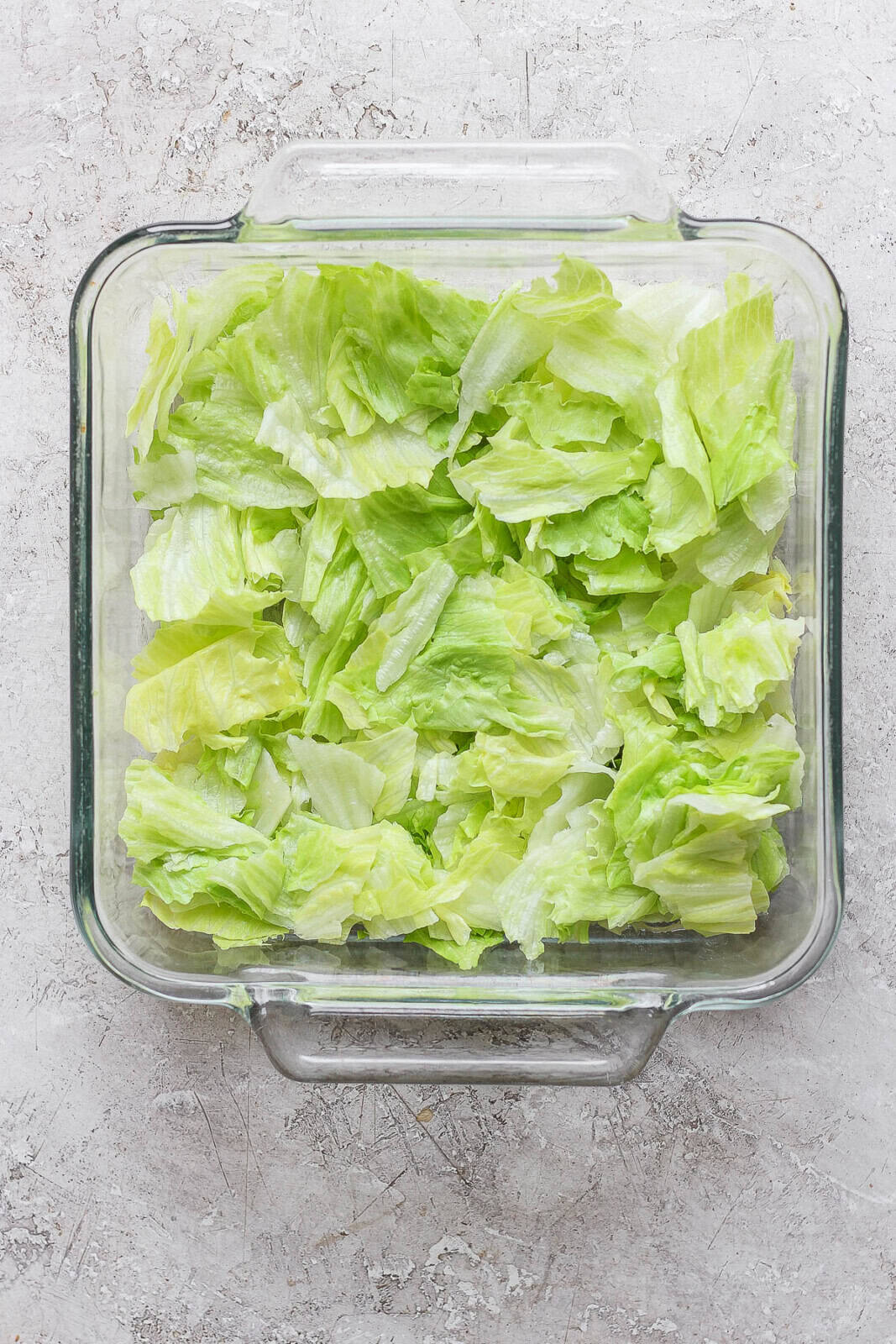Lettuce in the bottom of a glass pan. 