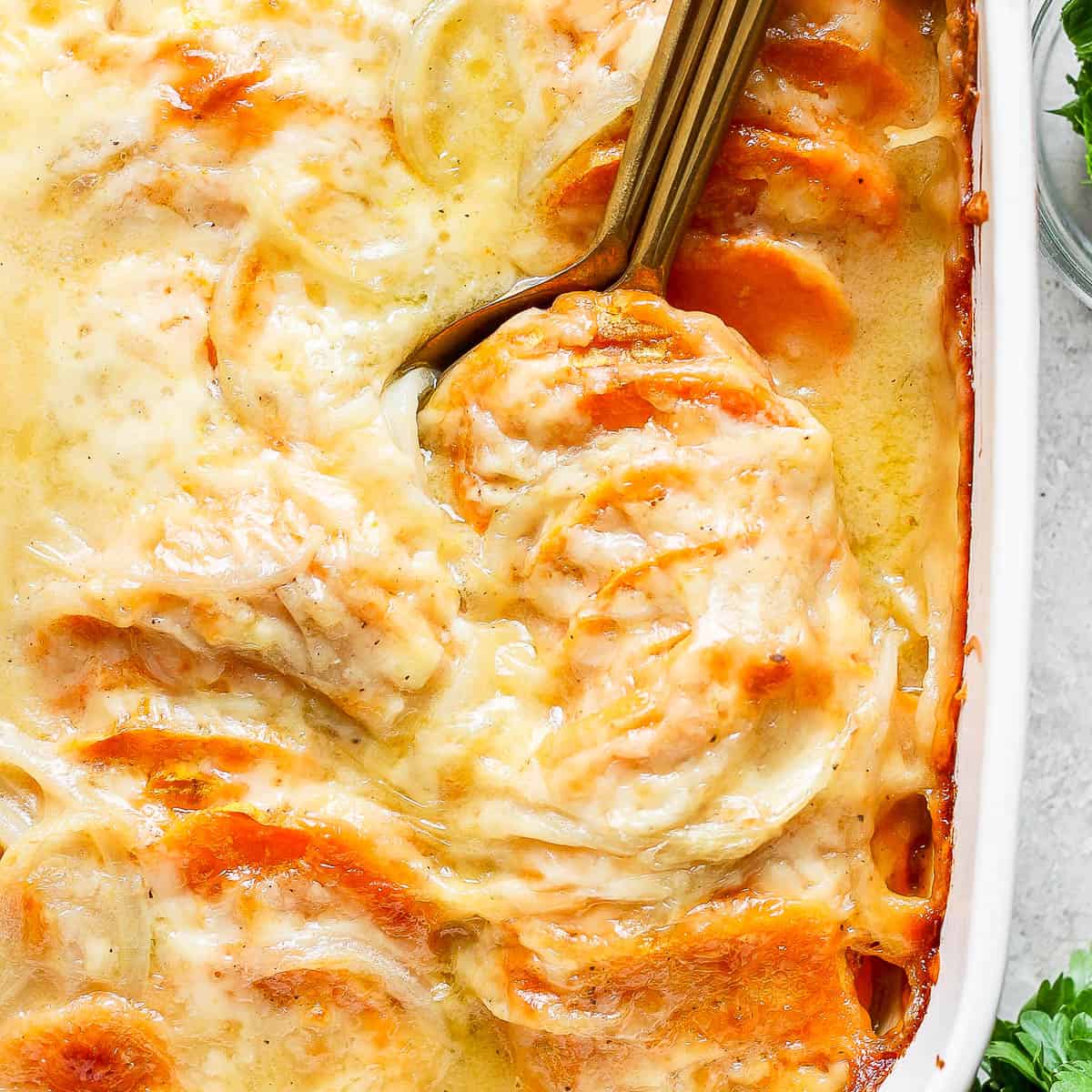 Top down shot of a casserole dish filled with homemade sweet potato au gratin with two golden spoons sticking out.