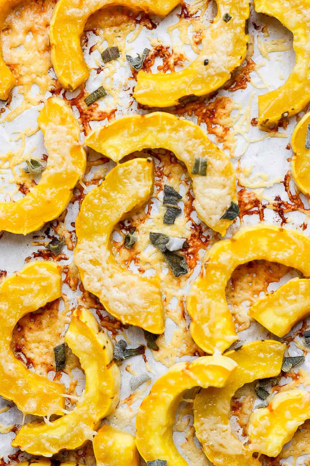 Sliced and roasted delicata squash on a parchment lined baking sheet.