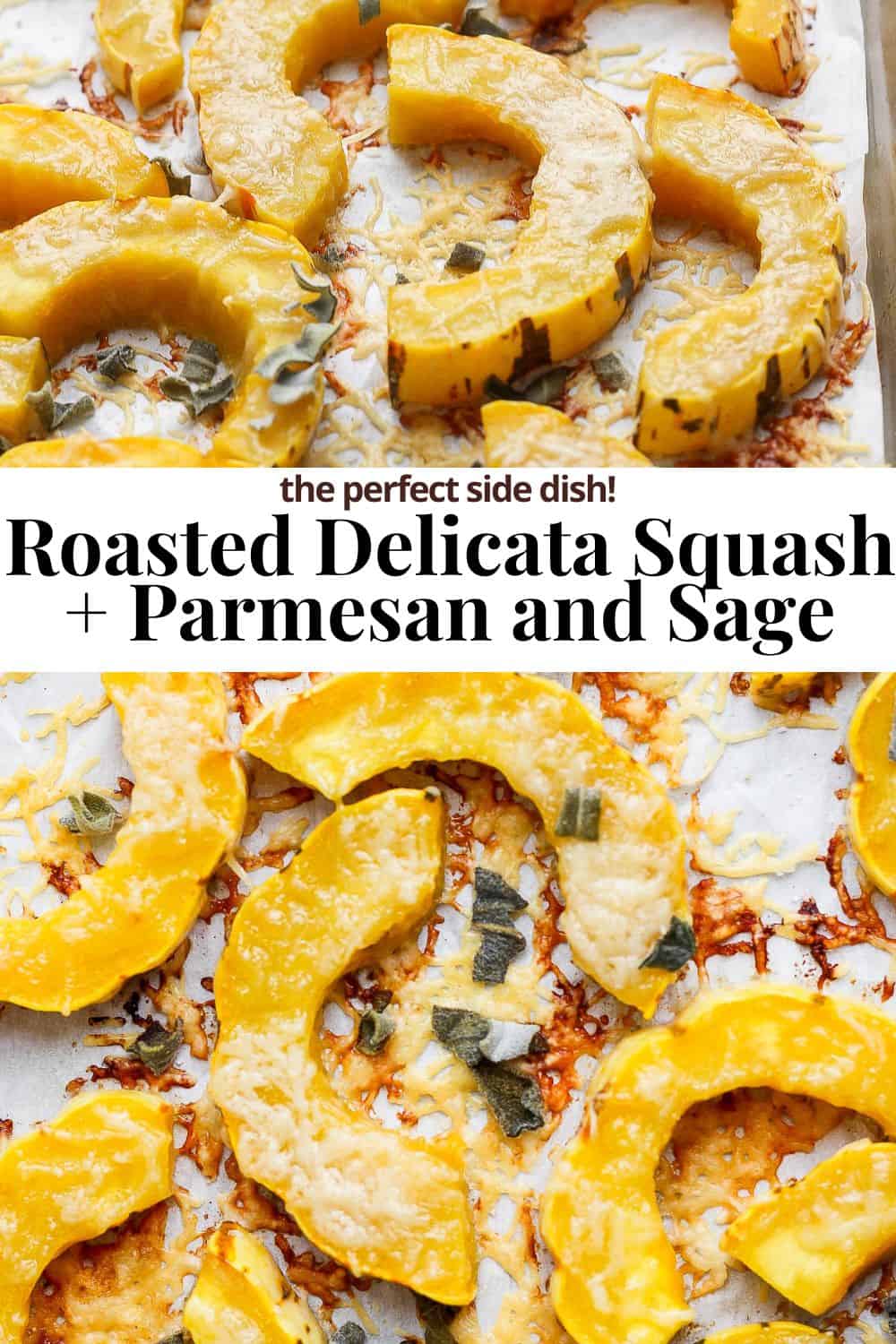 Pinterest image with the title Roasted Delicata Squash + Parmesan and Sage the perfect side dish.