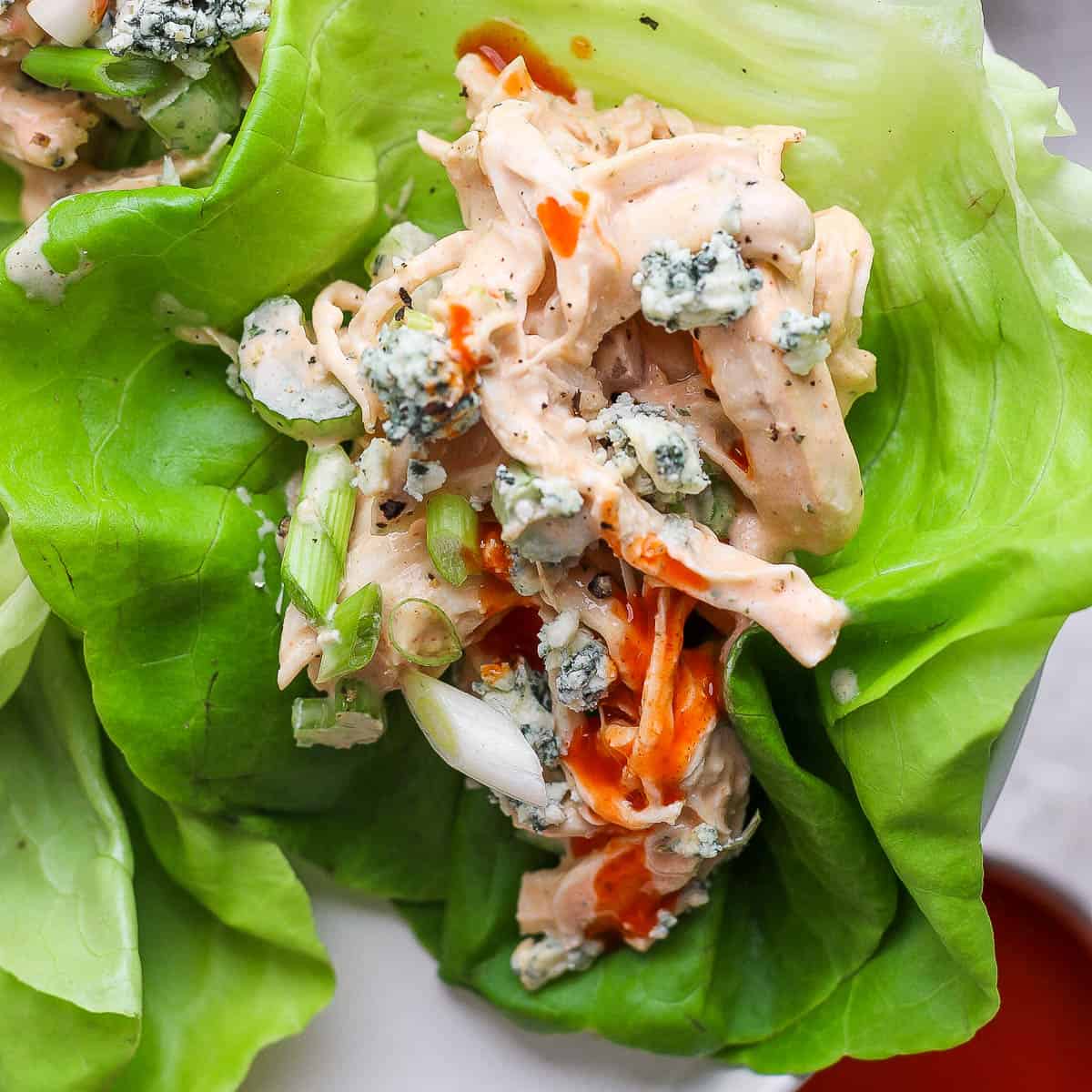 Some Buffalo Ranch Chicken Salad on some butter lettuce with some blue cheese, green onion and buffalo sauce.