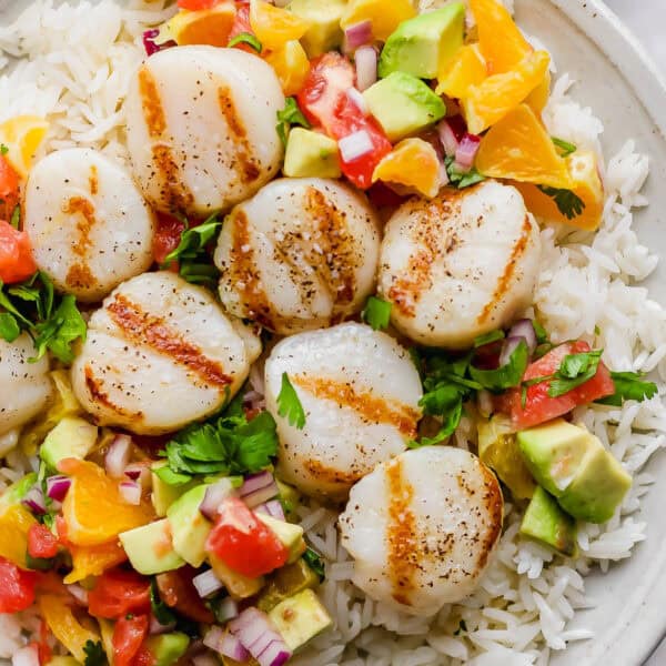 Close up shot of a plate with rice and then a citrus salsa and grilled scallops on top.