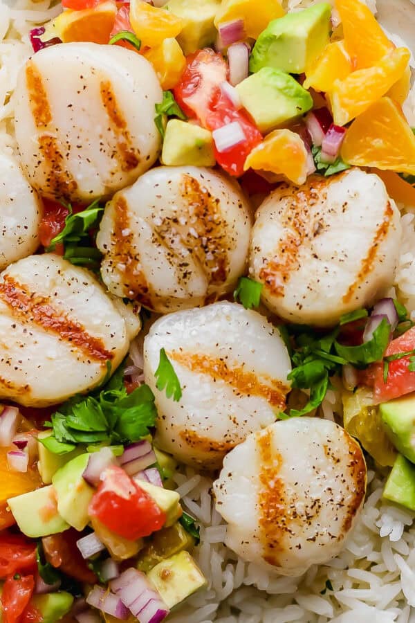 Close up shot of a plate with rice and then a citrus salsa and grilled scallops on top.