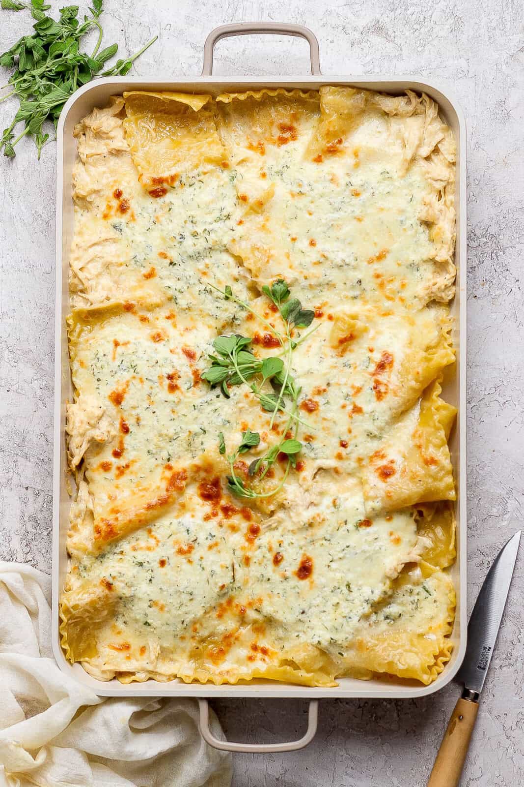 A fully cooked pan of chicken alfredo sheet pan lasagna with fresh oregano for garnish.