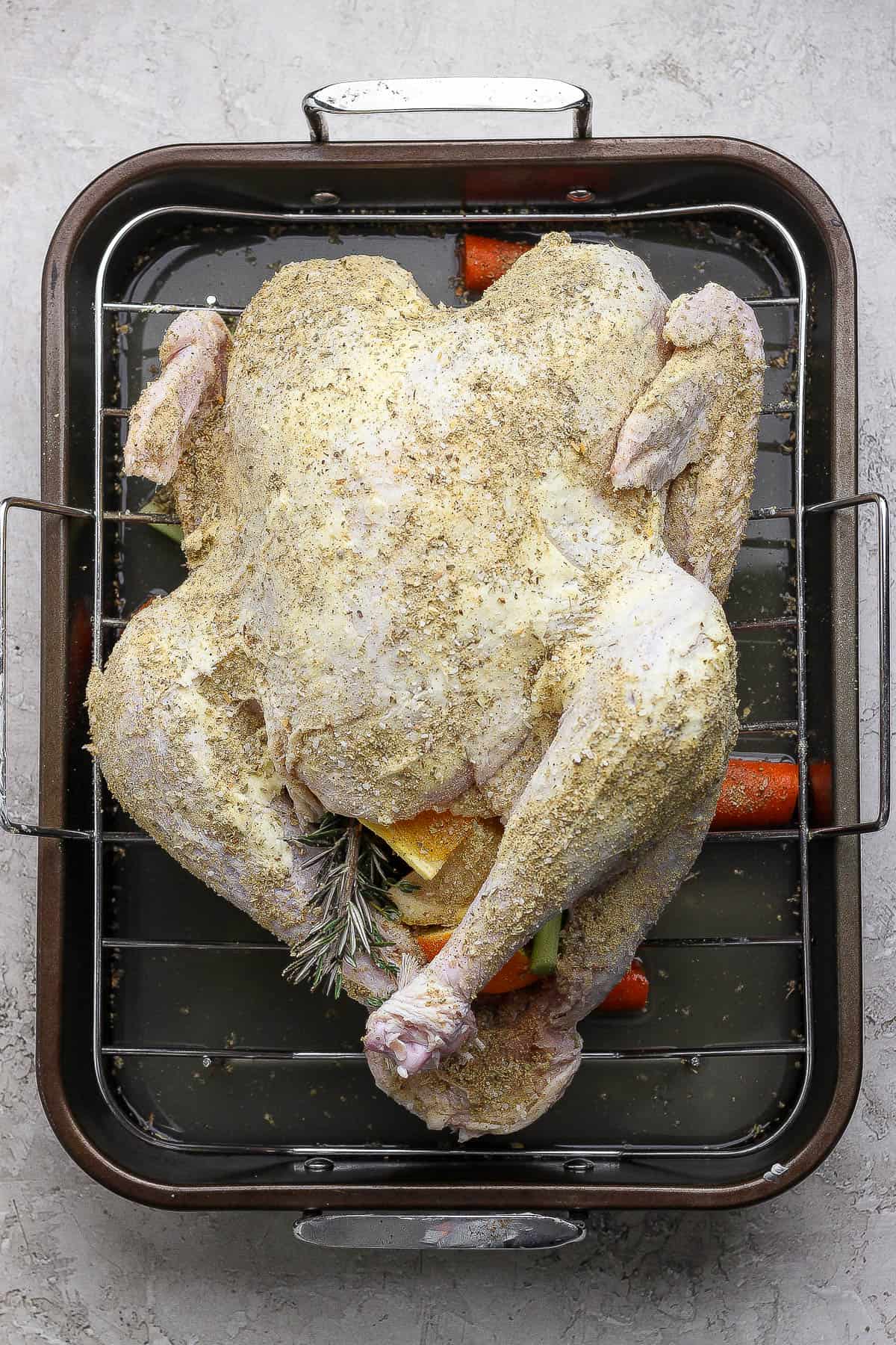 A whole orange turkey sitting on a roasting pan after being stuffed with fruit and herbs and the outside of the turkey rubbed with butter and seasoned with a dry rub.
