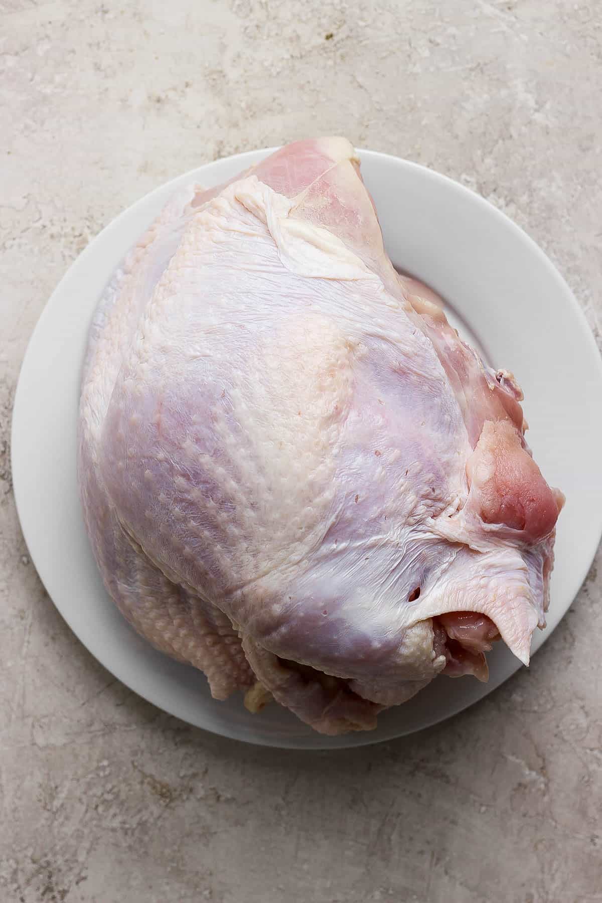 A thawed bone-in turkey breast on a white plate.
