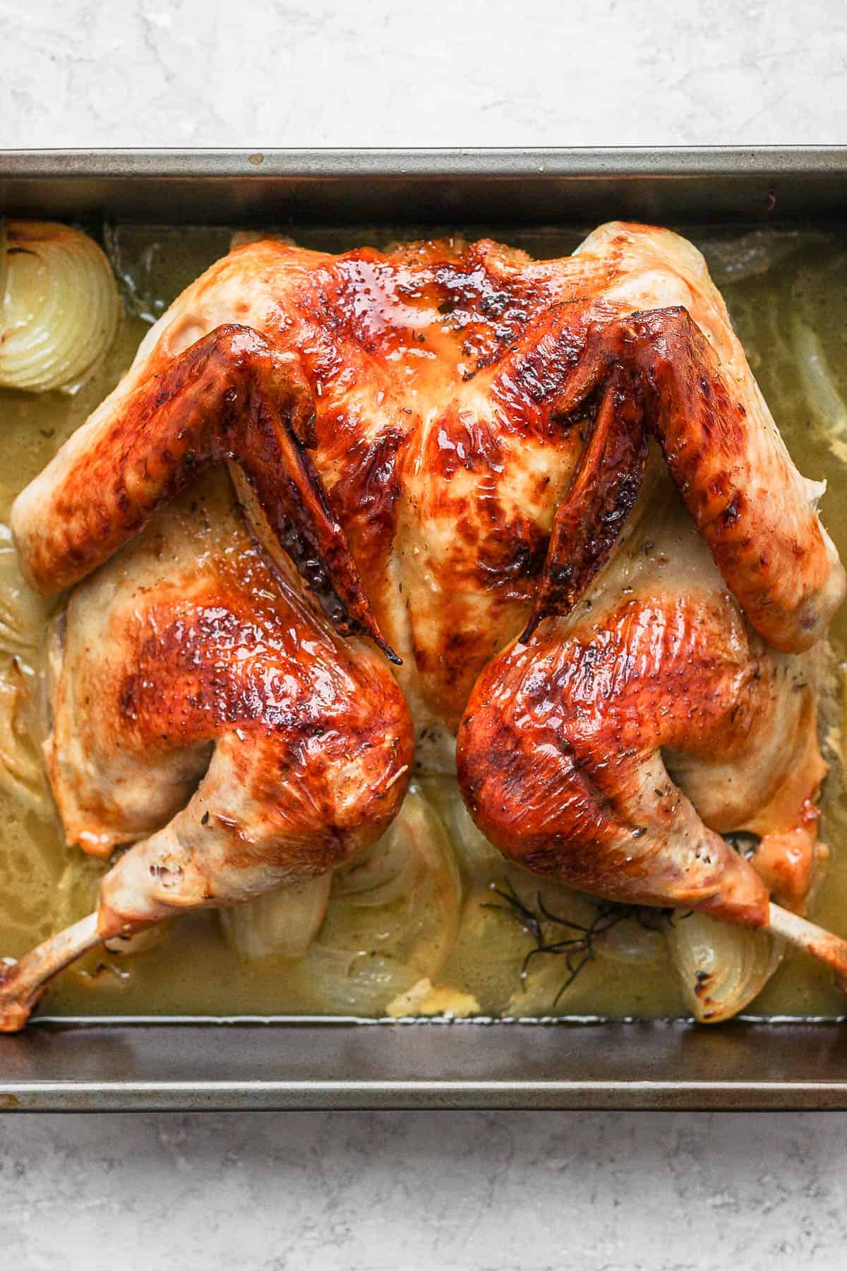A roasted spatchcock turkey in the roasting pan after being fully cooked.