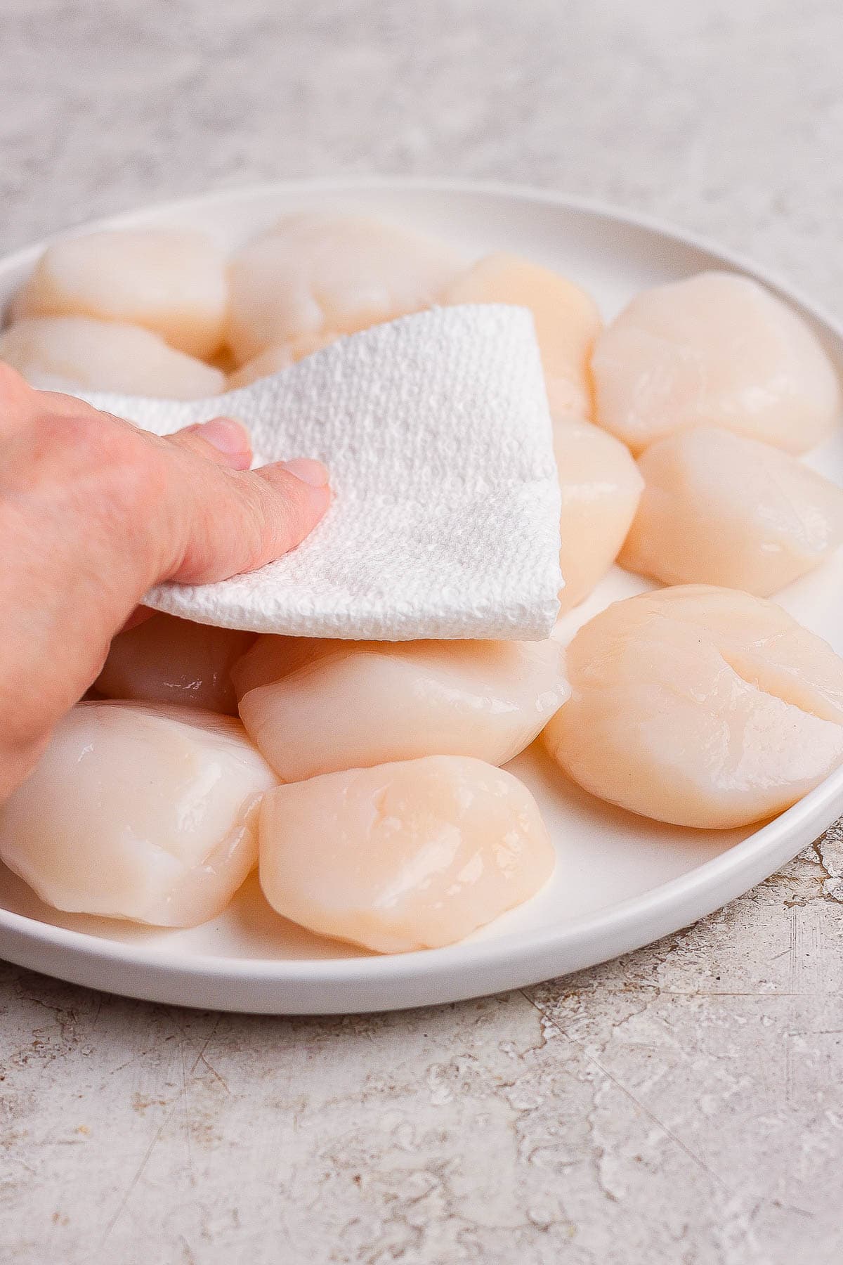 Several scallops on a white plate being patted dry with a paper towel.
