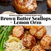 Brown butter scallops in a skillet and then on a plate with lemon orzo and the text "brown butter scallops + lemon orzo".