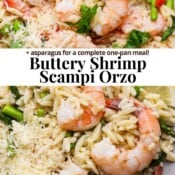 Two plates of shrimp scampi with orzo and the text "buttery shrimp scampi orzo".