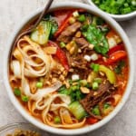 Bowl of beef short rib soup with a spoon sticking out the side.